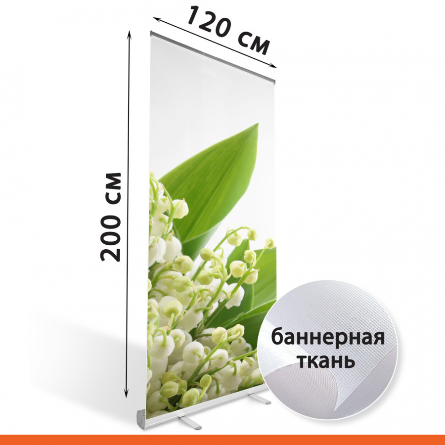 Roll up Standart 120х200 с баннерной тканью