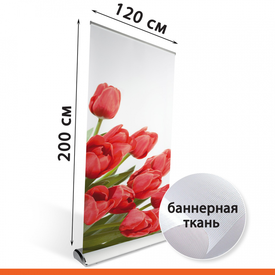 Roll Up Luxury 120х200 см с баннерной тканью